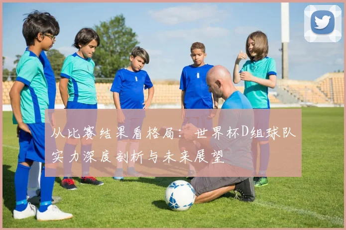 从比赛结果看格局：世界杯D组球队实力深度剖析与未来展望